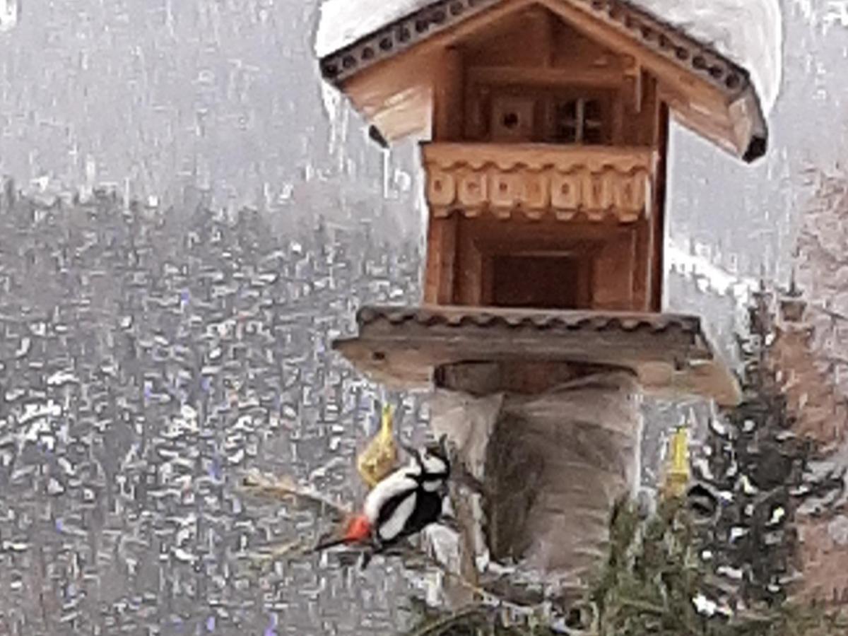 Pension Fuerhapter Mit Bio- Bauernhof Sankt Jakob in Defereggen Exteriér fotografie