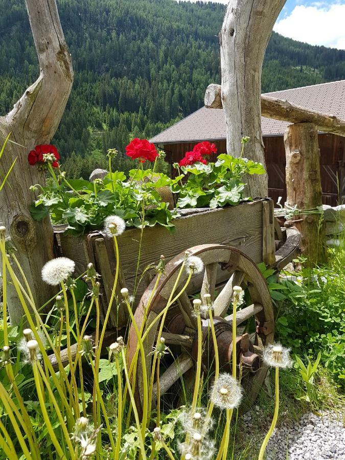 Pension Fuerhapter Mit Bio- Bauernhof Sankt Jakob in Defereggen Exteriér fotografie