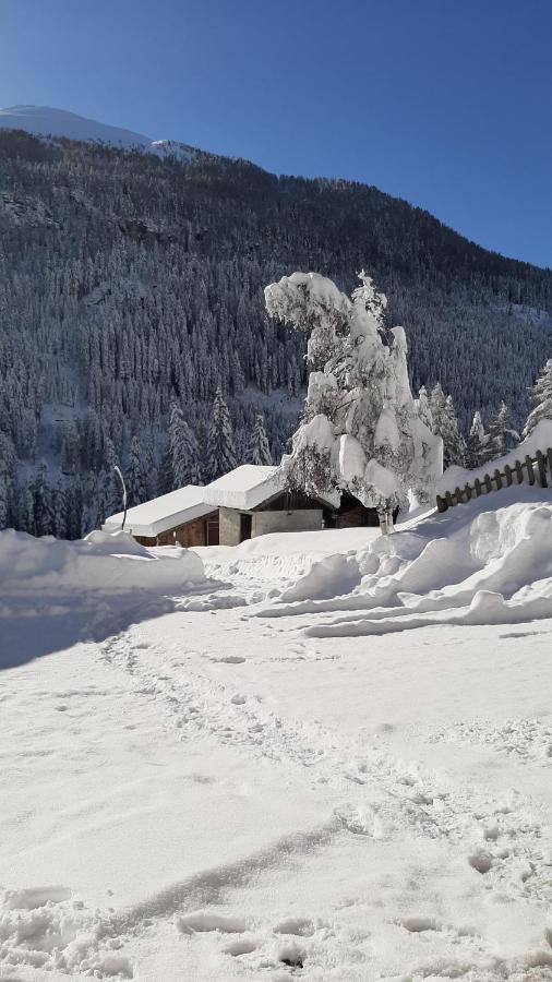 Pension Fuerhapter Mit Bio- Bauernhof Sankt Jakob in Defereggen Exteriér fotografie